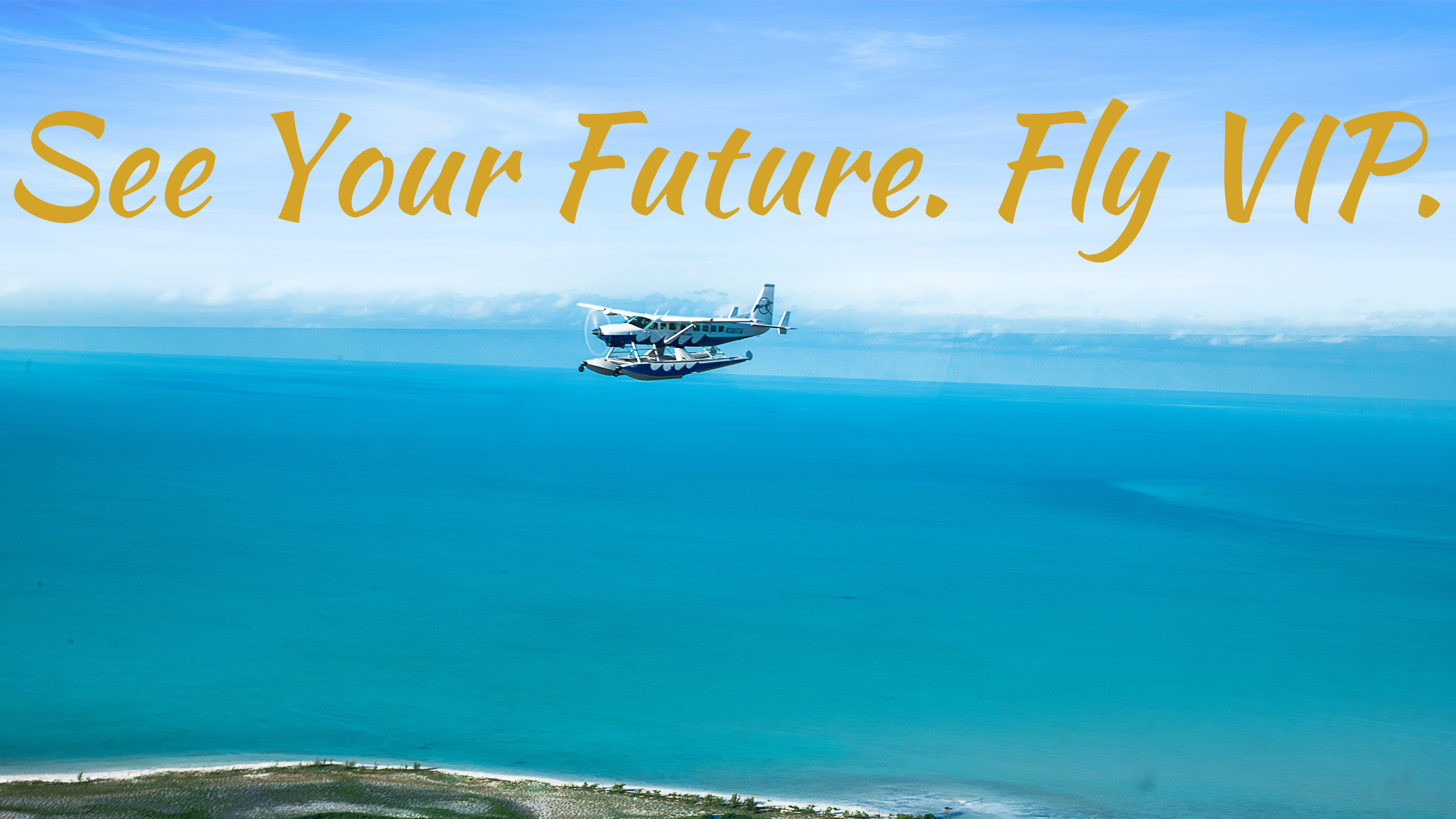 See the Future. Fly VIP.